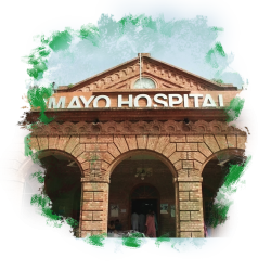 Mayo Hospital_Splash 9
